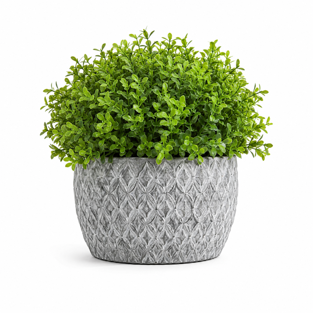 Set - Elegant Decoration