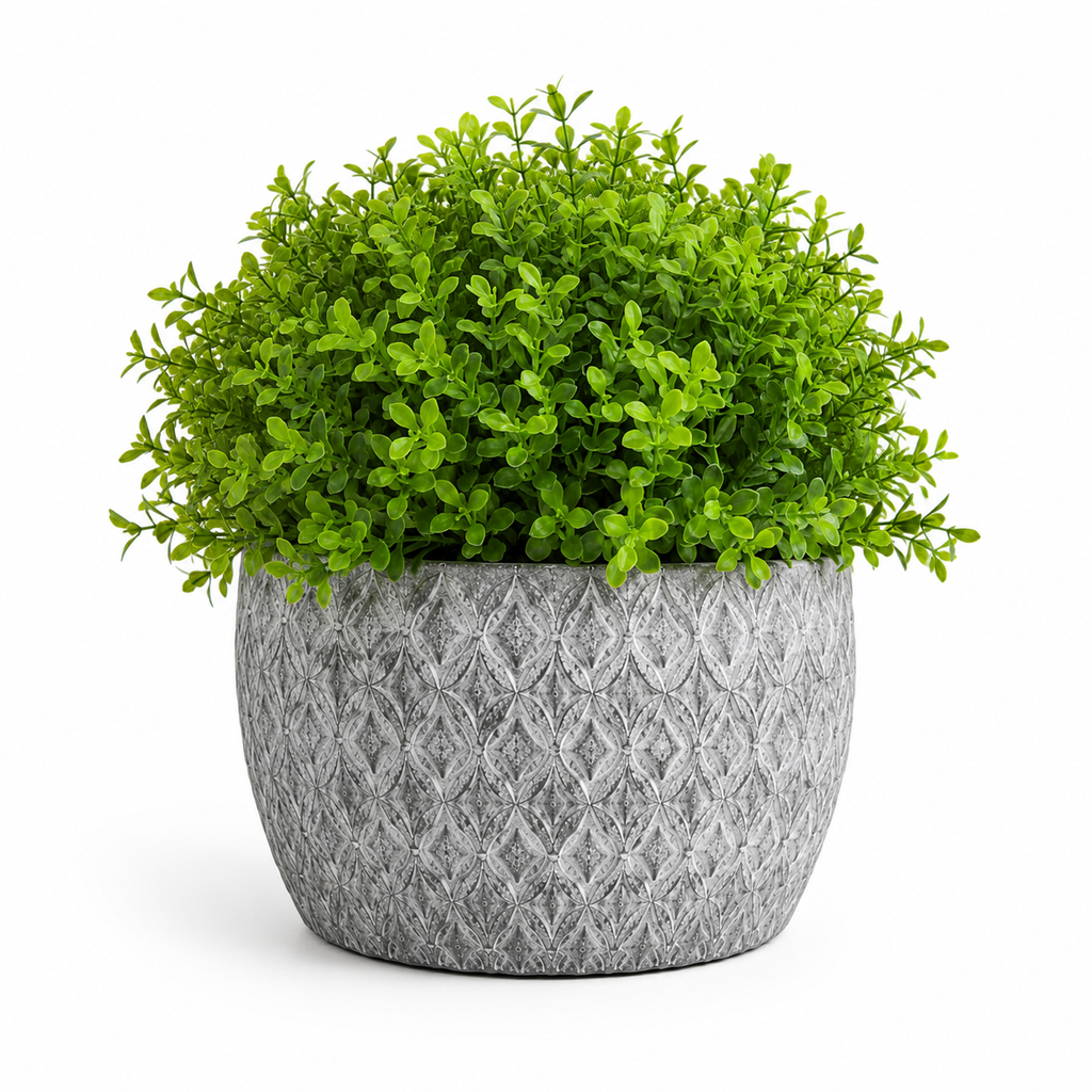 Set - Elegant Decoration