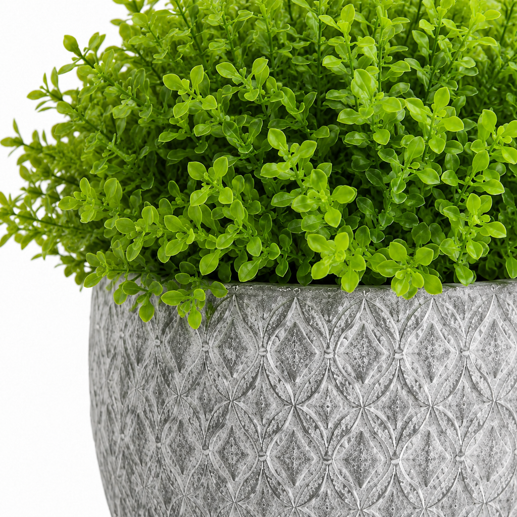 Set - Elegant Decoration
