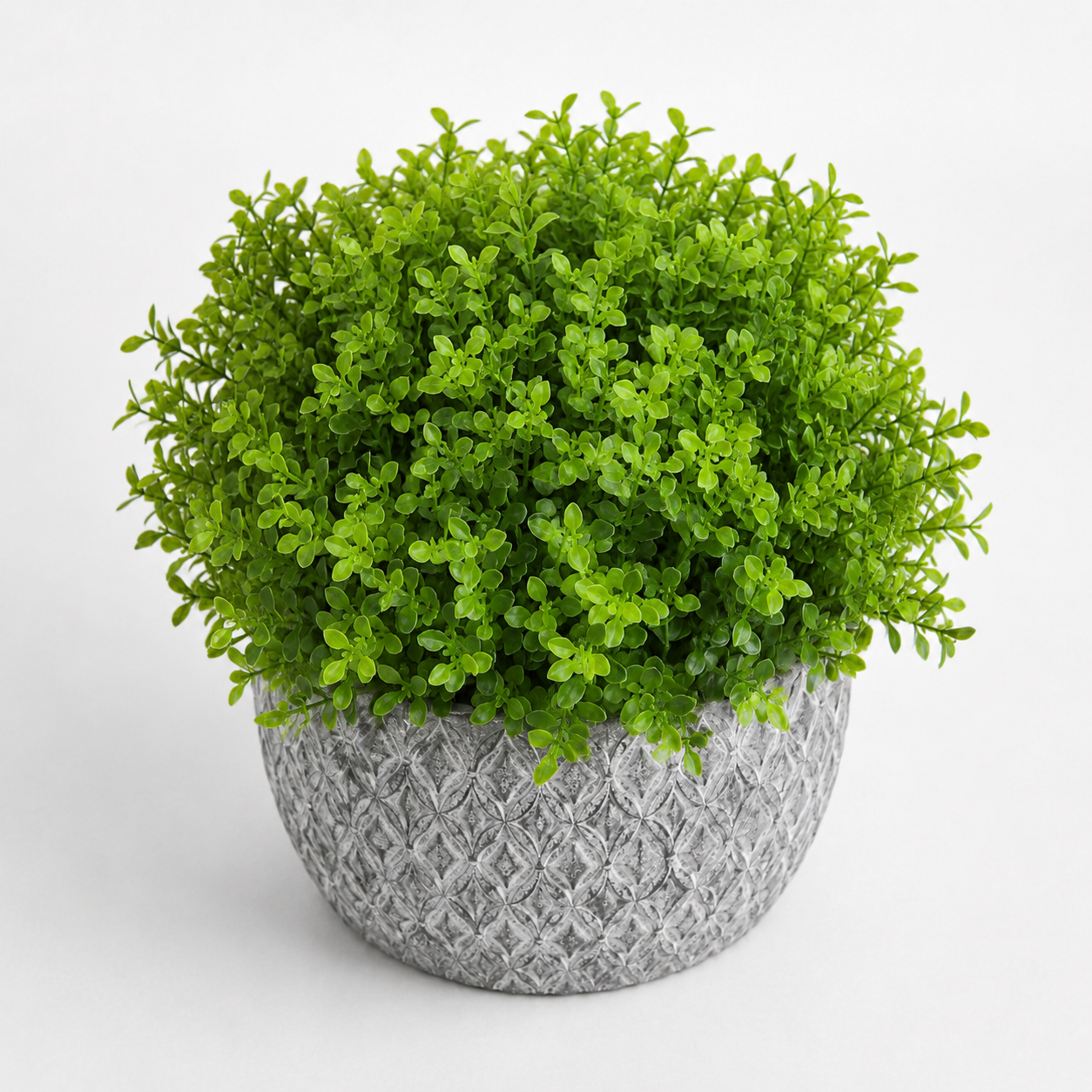 Set - Elegant Decoration