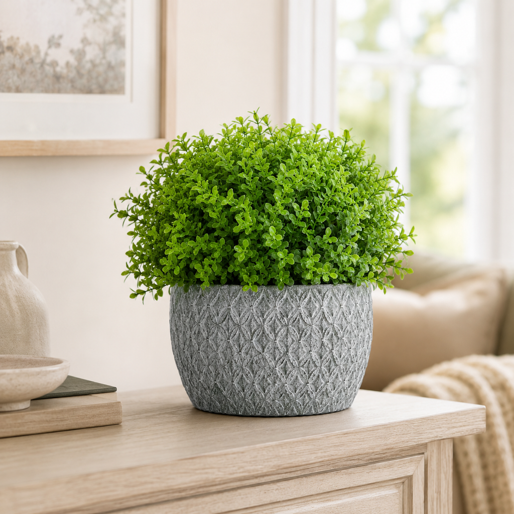 Set - Elegant Decoration